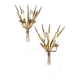 Pair of "Wheat Sheaf" Wall Lights