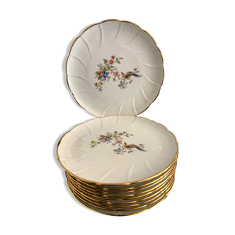 11 dessert plates Bernardaud et Compagnie, Limoges porcelain