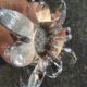LORRAINE CRYSTAL LAMP BASE