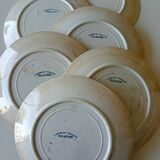 Lot de 9 magnifiques assiettes anciennes,Terre de Fer, Sarreguemines