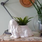 Cracked glazed faience in a zoomorphic design