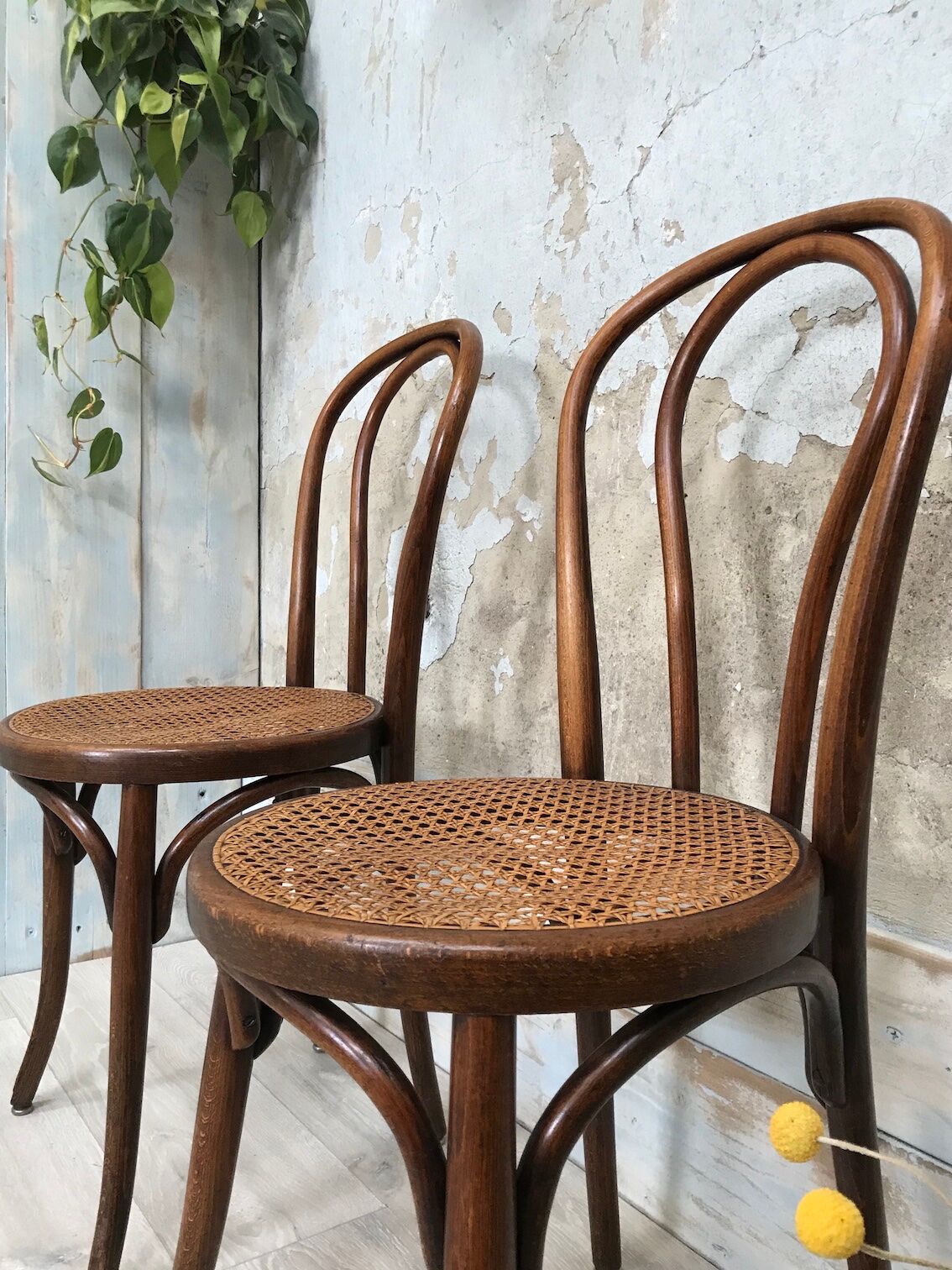 Paire de chaises bistrot Fischel