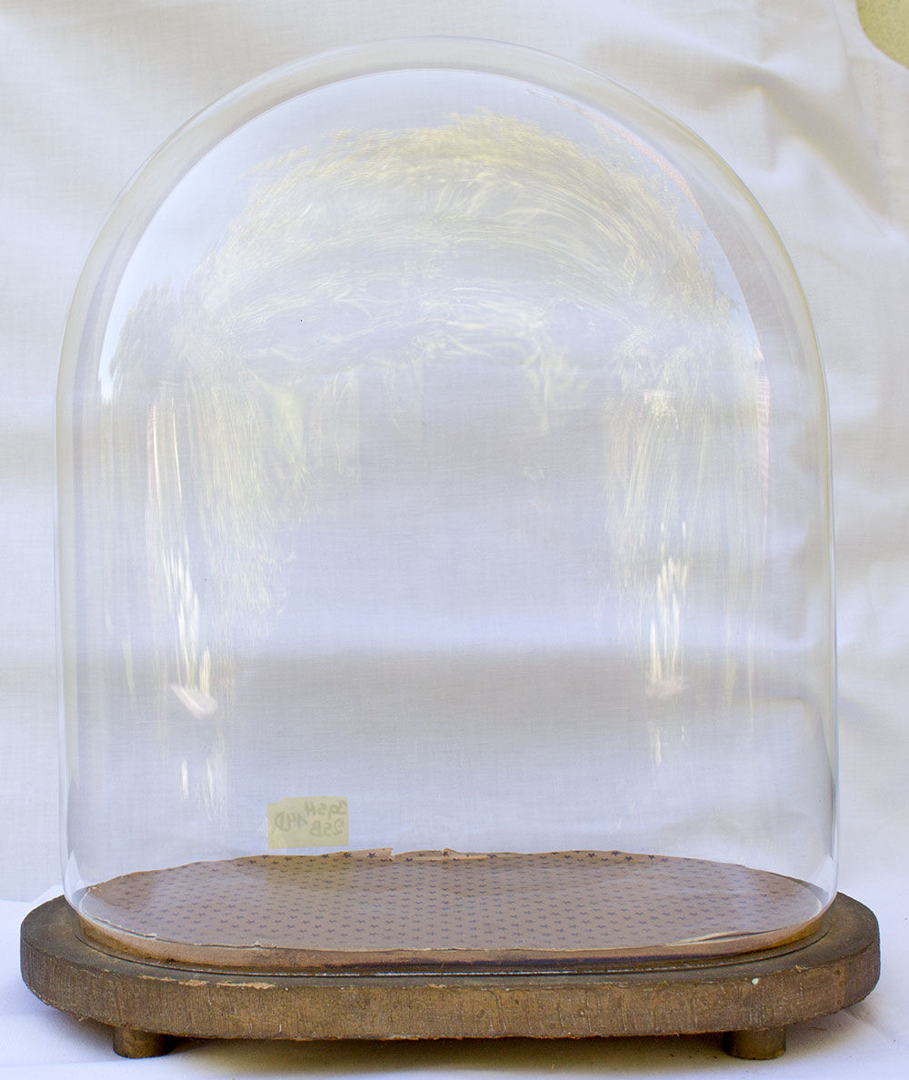 Globe de mariée ovale 30,5 cm haute