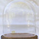 Globe de mariée ovale 30,5 cm haute