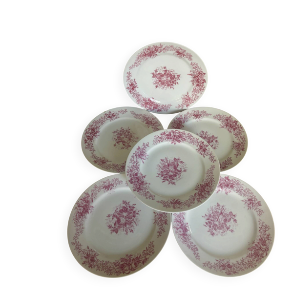 Ensemble de 6 assiettes à dessert anciennes en porcelaine fleurs roses