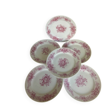 Set of 6 antique dessert plates in porcelain with pink flowers.