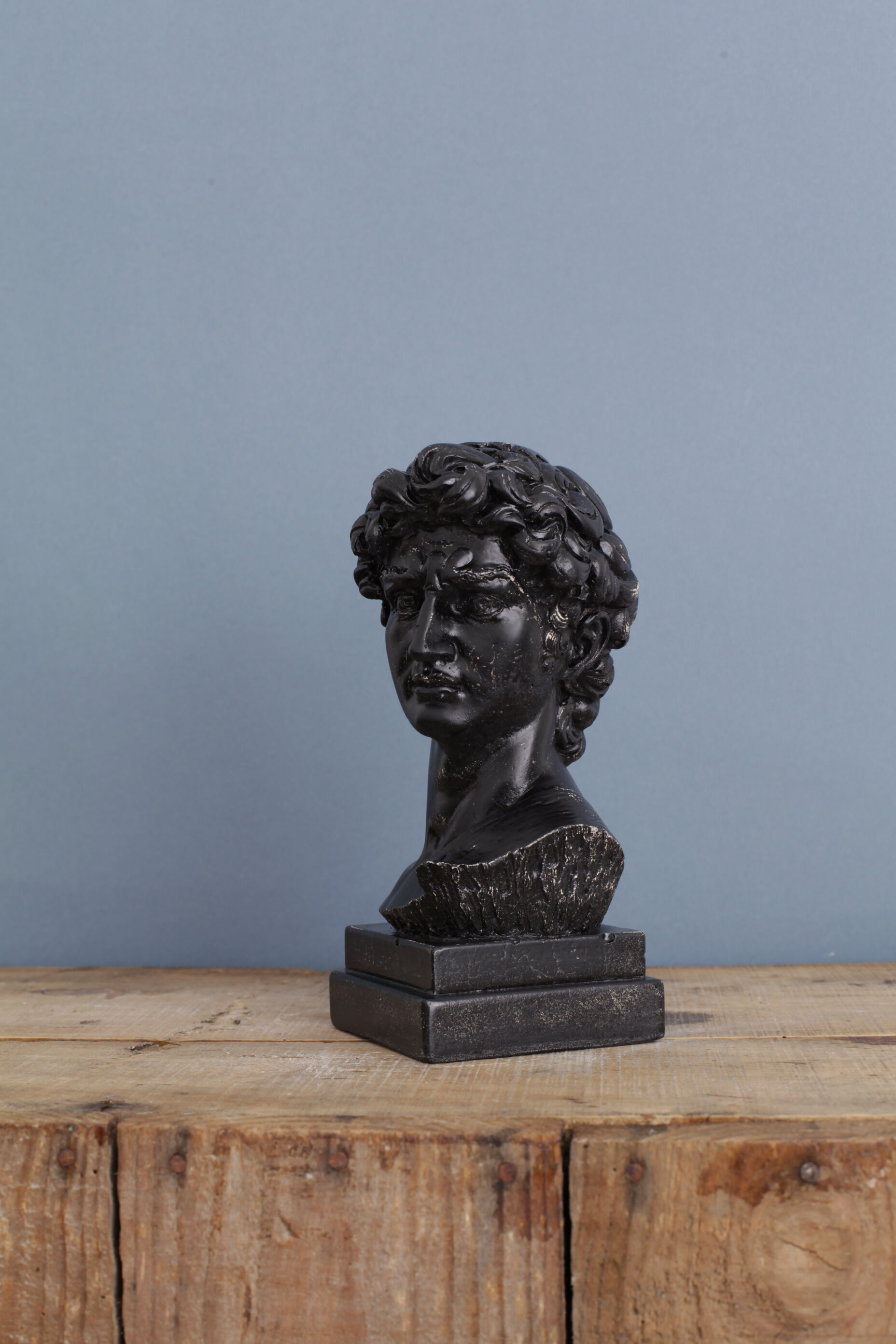 David head in black waxed bean