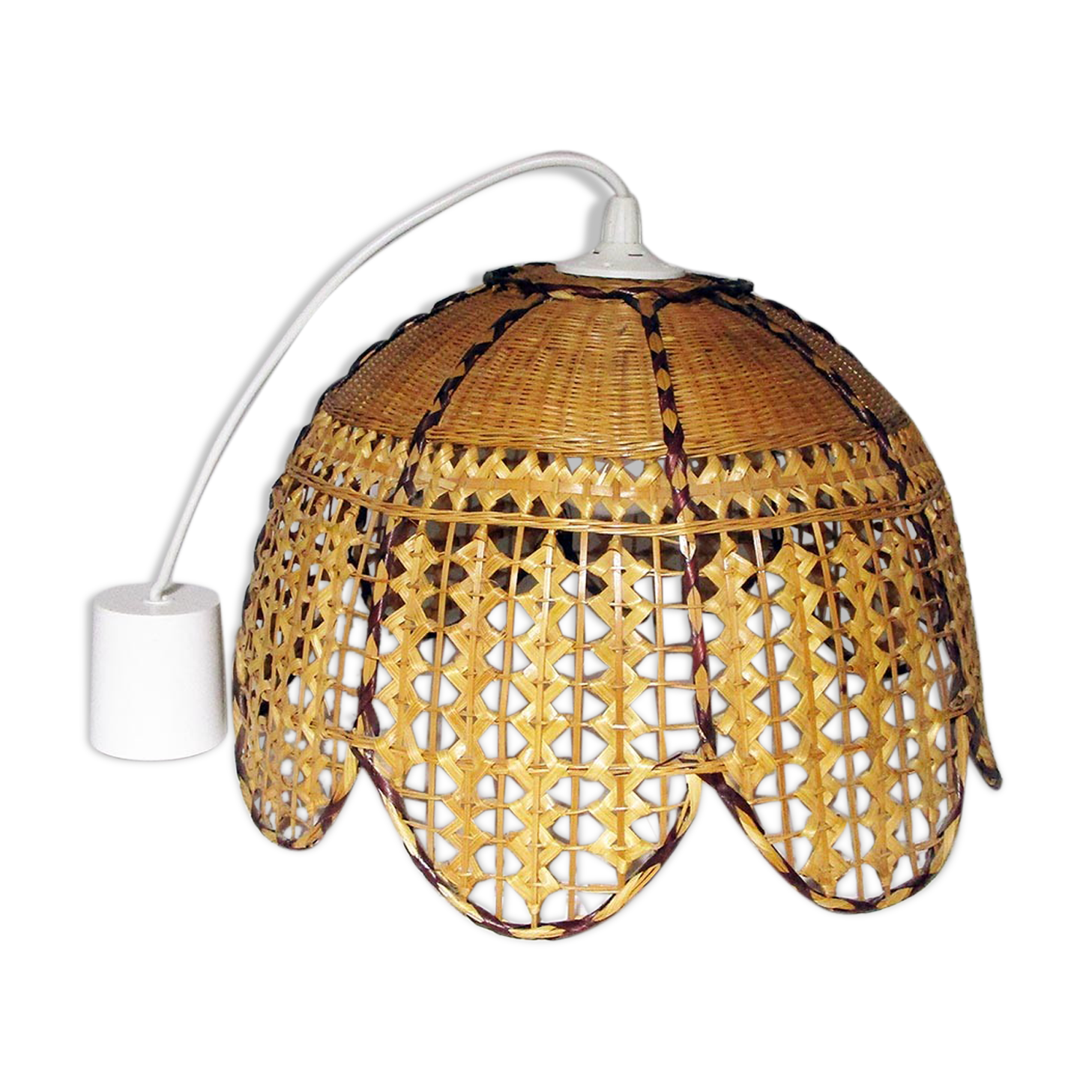 Tulip hanging in rattan