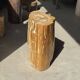 Table d'appoint en bois pétrifié orange doré et blanche ovale H46 D38 - 333