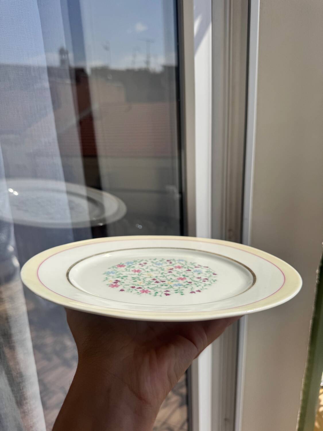 Set of 6 Porcelain Dinner Plates