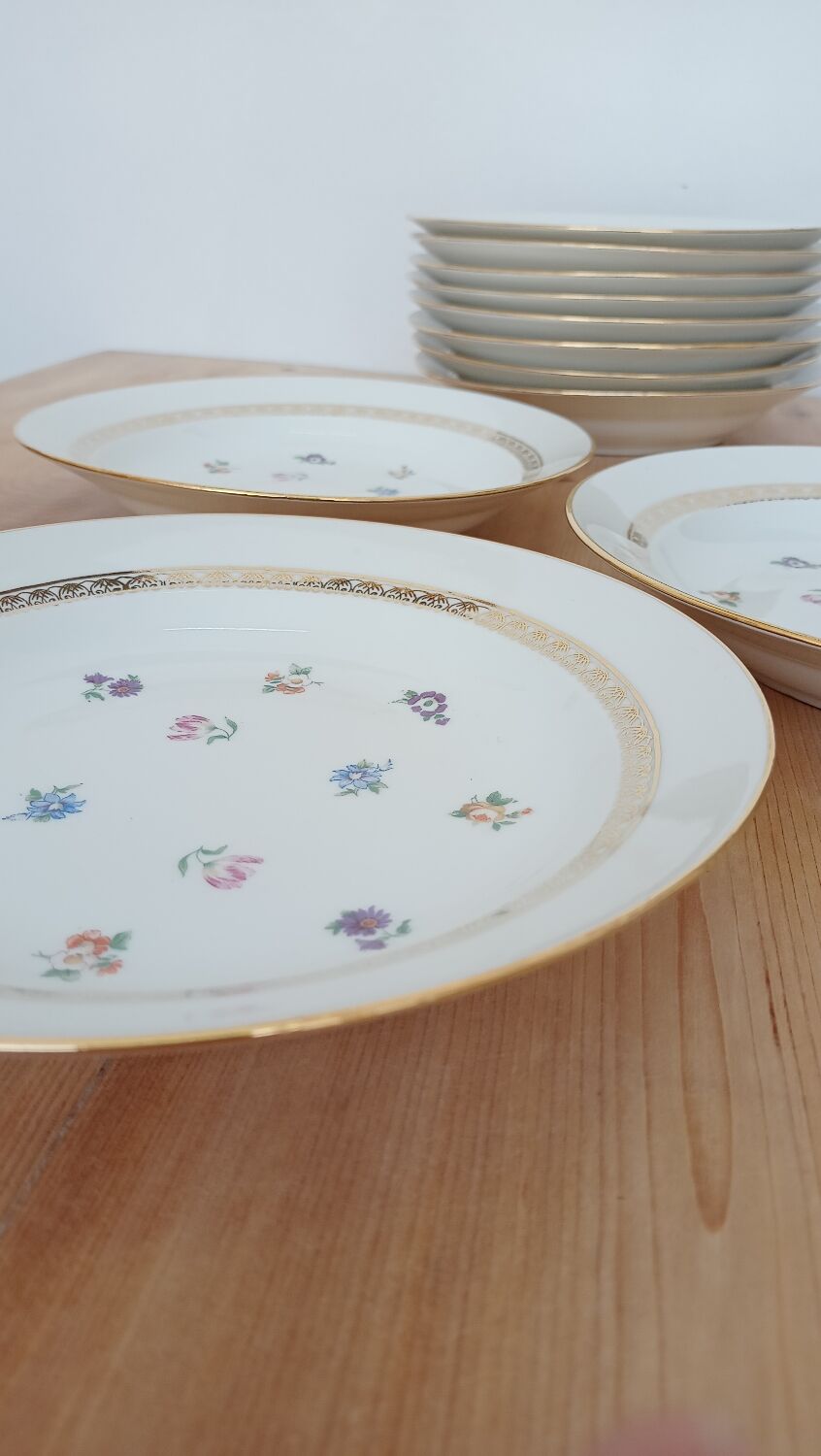 Hollow porcelain plates