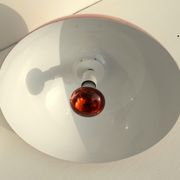 Lampe de bureau Big Apple de Selenova 1960s
