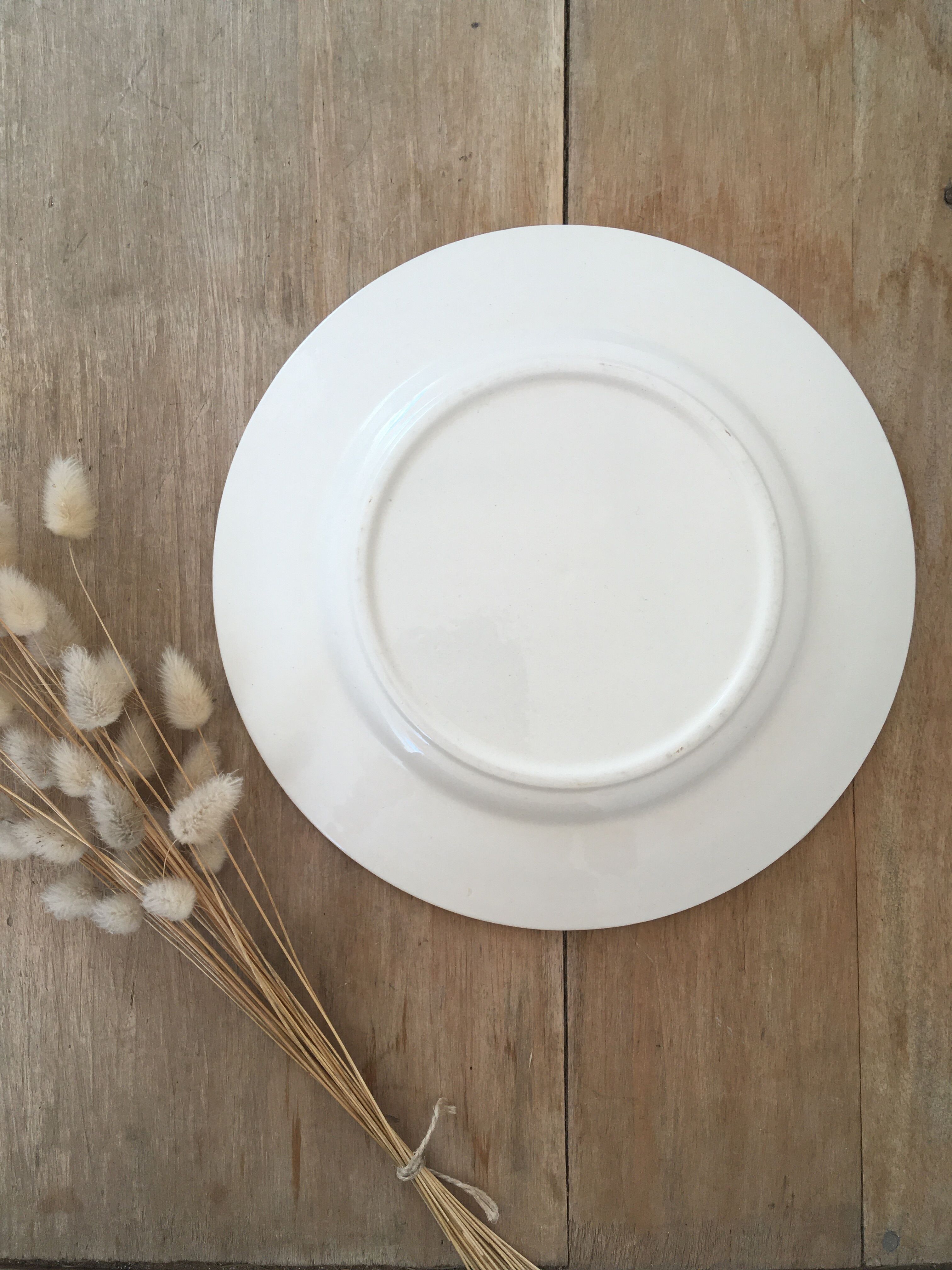 Mismatched yellow & blue plates