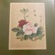 Art japonais « kacho-ga » fleurs