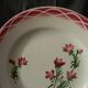 Set of 6 digoin sarreguemines earthenware dinner plates. aude model.