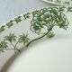 Set of 6 flat plates Sarreguemines