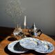 Lot de 5 assiettes anglaises bleues D23