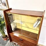 Vintage showcase, storage unit
