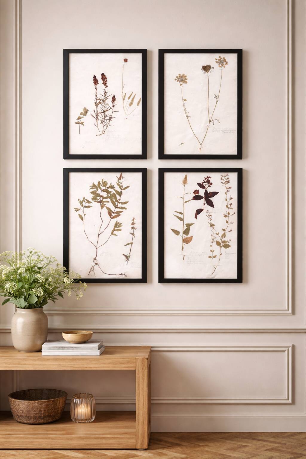Herbiers anciens encadrés, lot de 4