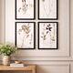 Herbiers anciens encadrés, lot de 4