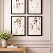 Herbiers anciens encadrés, lot de 4