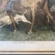 Gravure Chasseurs égarés début XX siècle