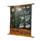 Botanical board coated tissue