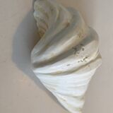 Holy Clam Shell - 23x14x7 cm - Natural - 1000g