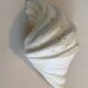 Holy Clam Shell - 23x14x7 cm - Natural - 1000g