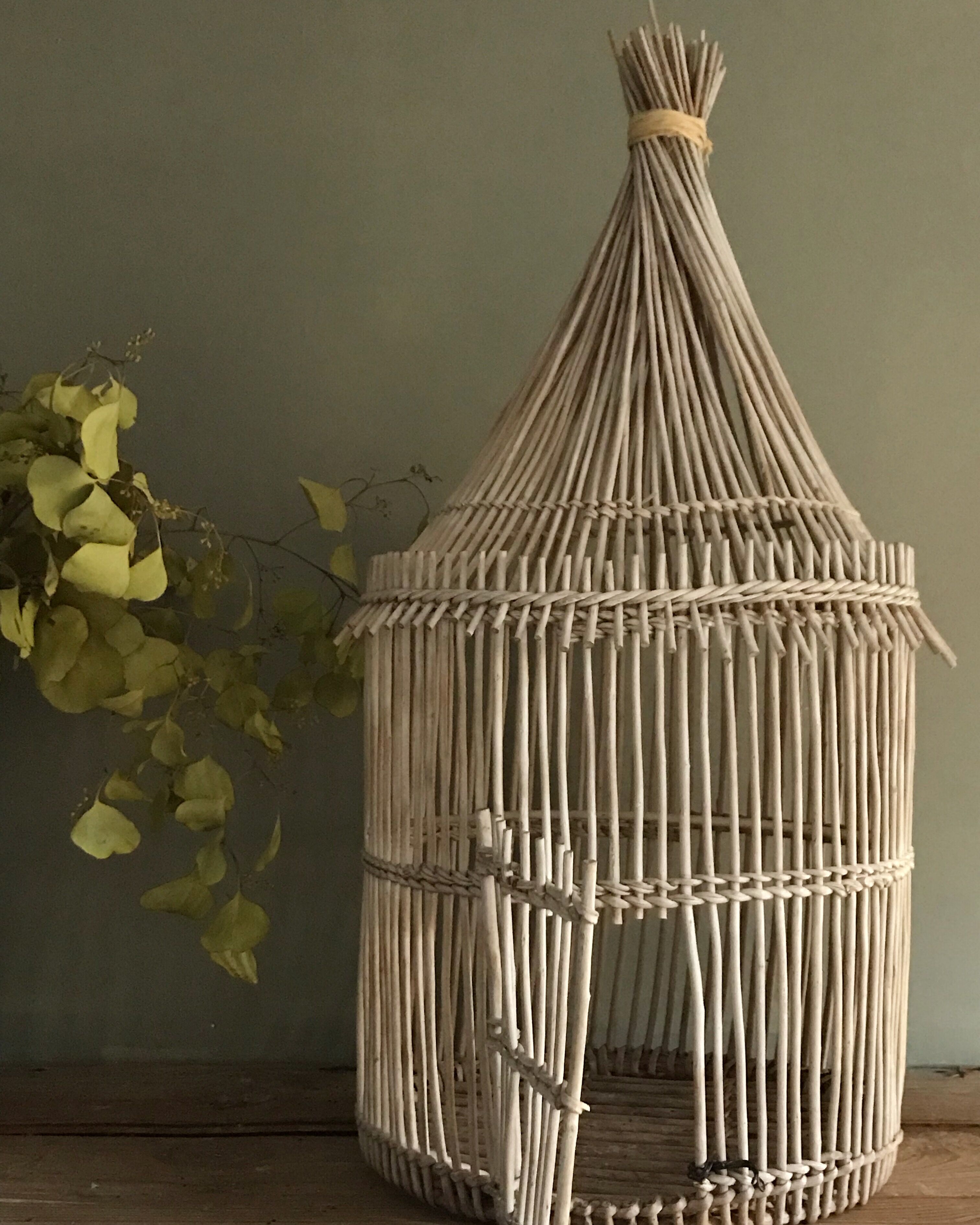Wicker cage