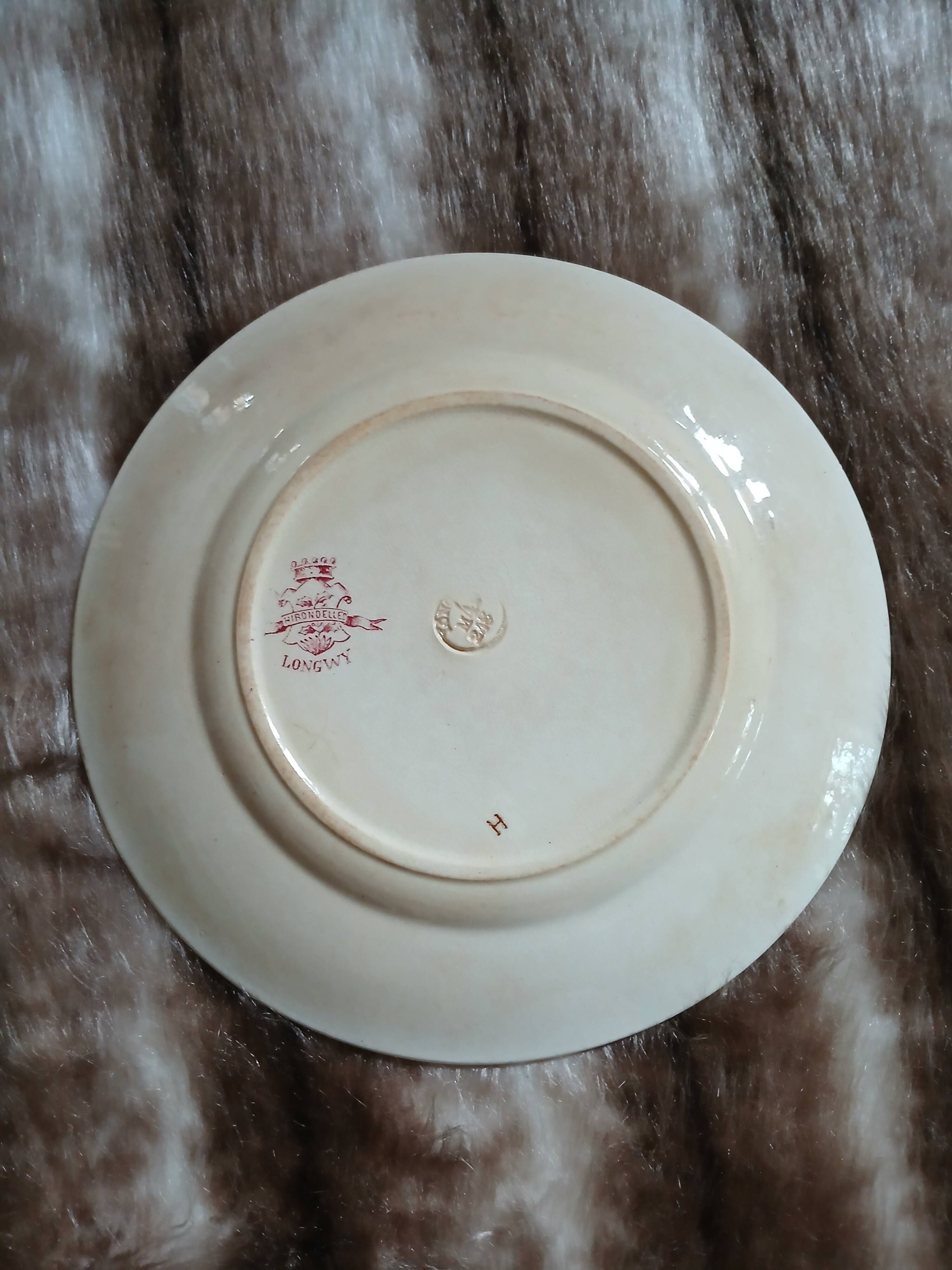 10 antique flat plates in ironstone