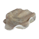 Vide poche coquillage