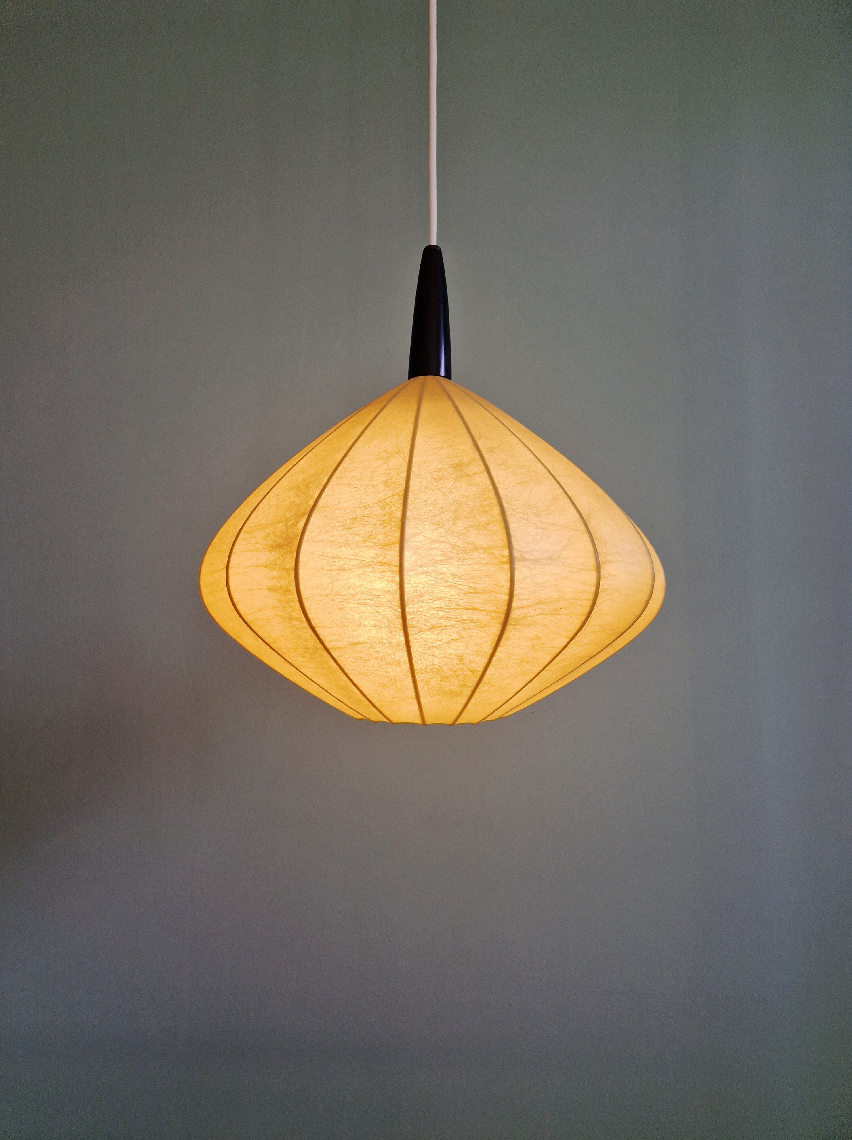 Onion-shaped suspension cocoon, 1960s