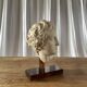 Ancient Greek head – Ephebe – Cast from the Louvre Museum