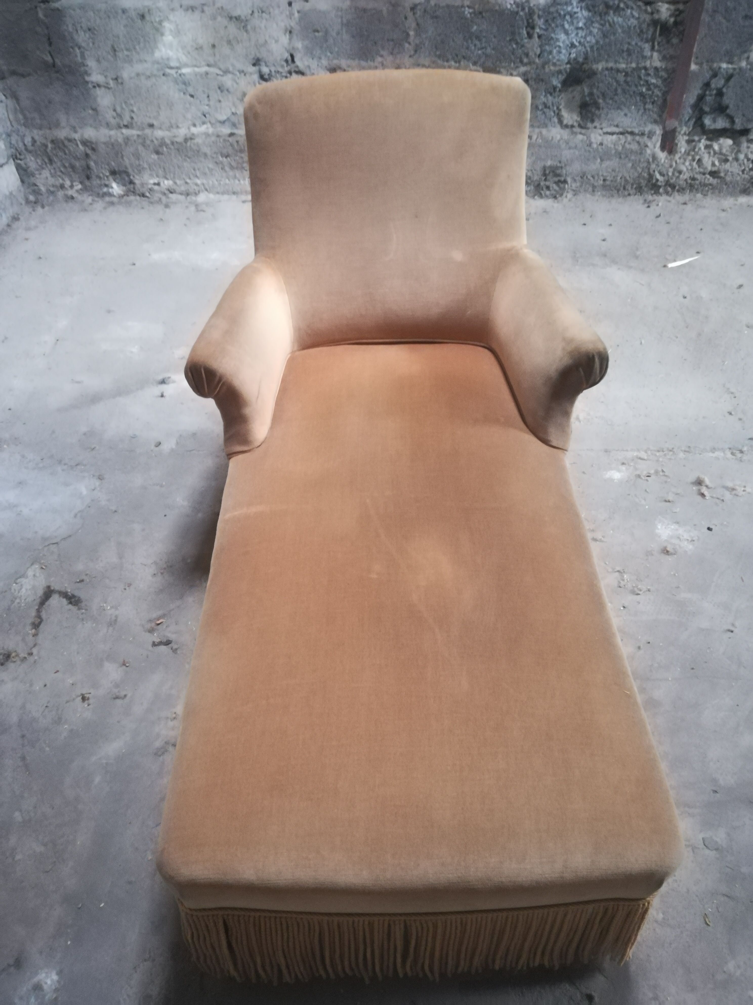 Meridian vintage toad