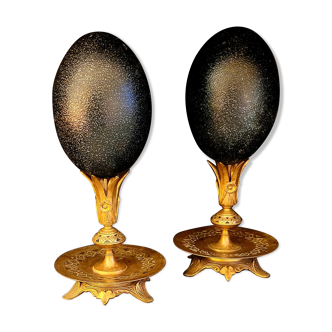 Cabinet of curiosities old vintage emu eggs