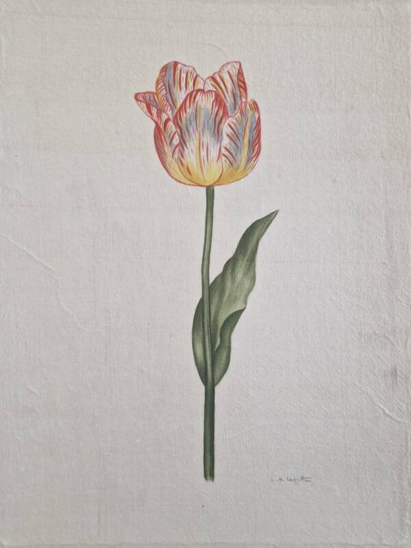 La Roche Laffitte (Born in 1943) - Watercolour drawing on silk - Tulip