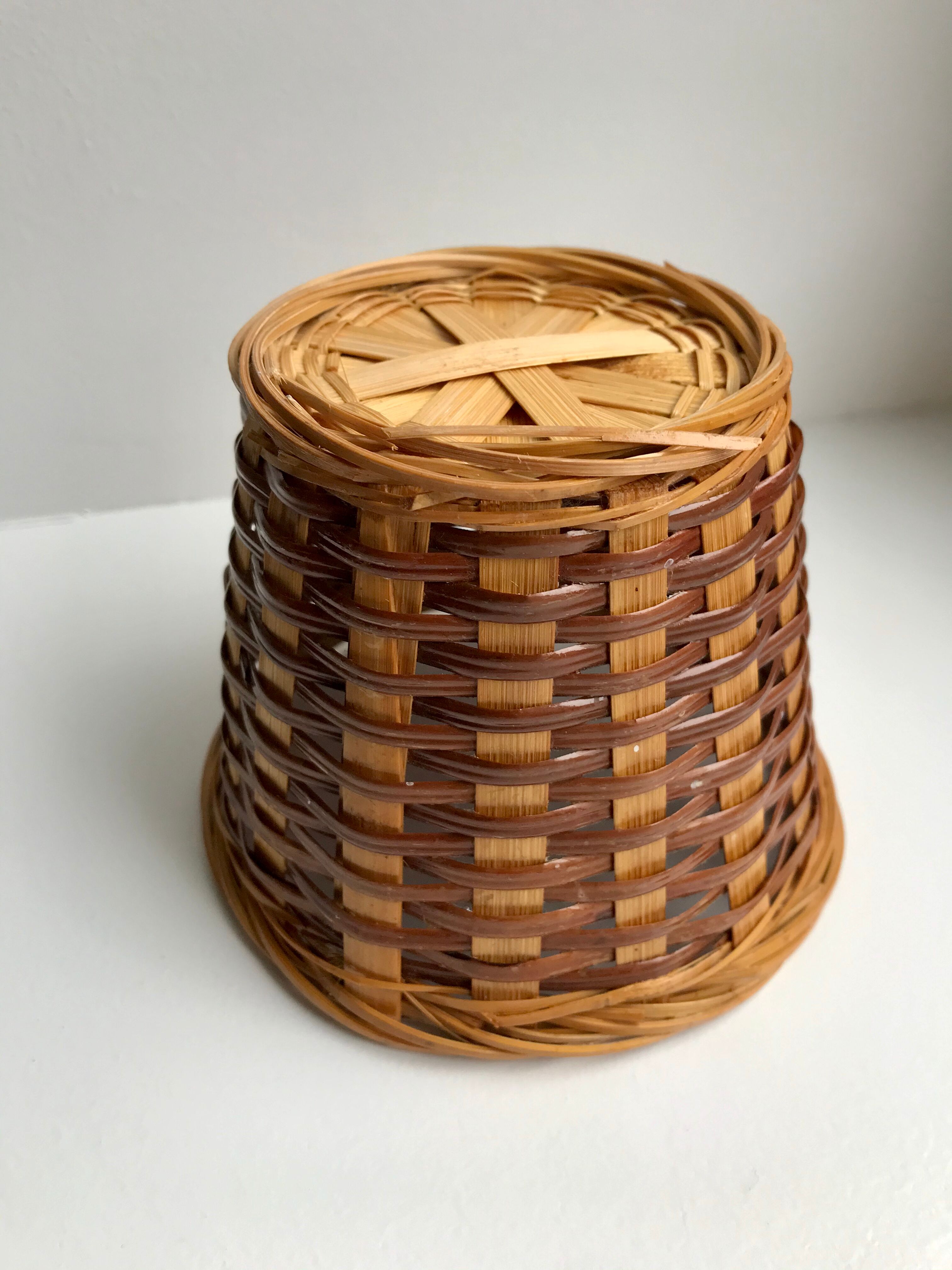 Rattan pot cover & wicker plants 70s