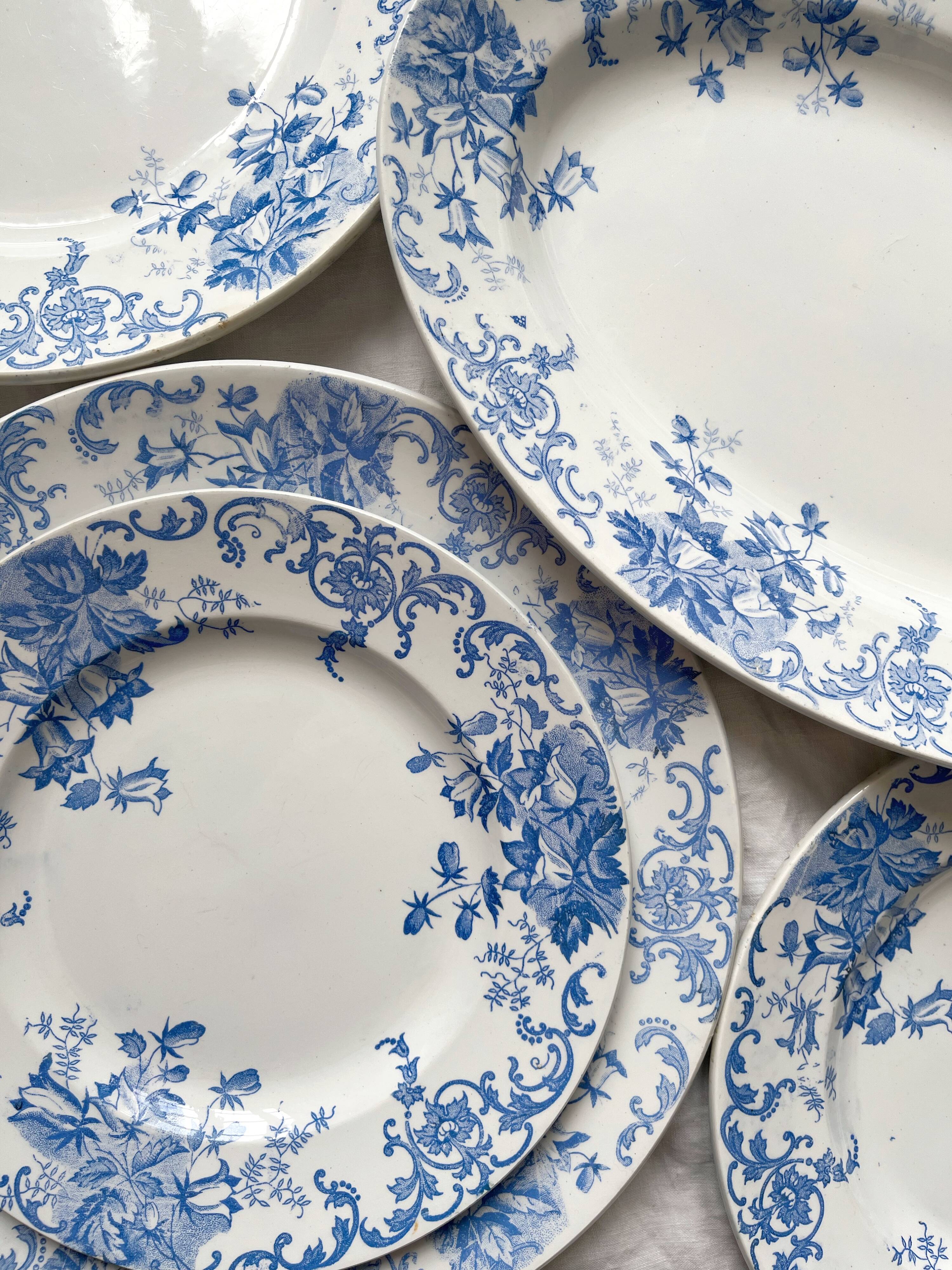 12 small flat plates "Campanule" Saint Amand and Hamage