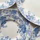 12 small flat plates "Campanule" Saint Amand and Hamage