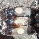 Marius Giuge artist pottery Vallauris 2 candlesticks