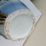 Large earthenware vase with peacock motif