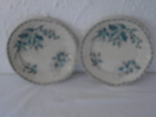 2 Plates faience old Bondonviller decoration MURE wild fruit iron earth diameter 22 cm
