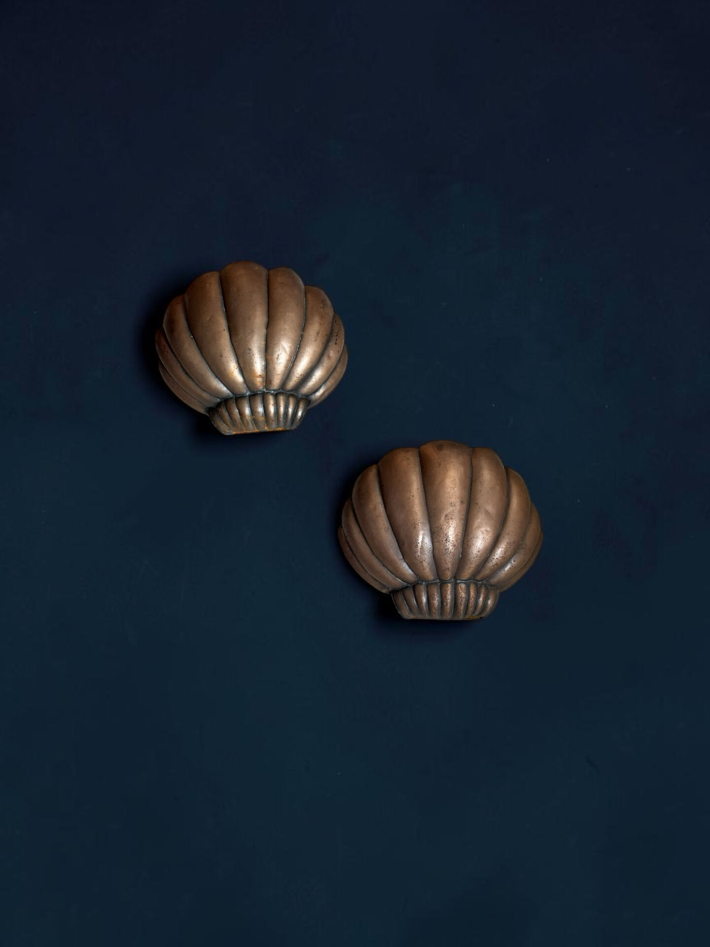 Paire d’appliques coquille Saint-Jacques 1960