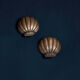 Paire d’appliques coquille Saint-Jacques 1960