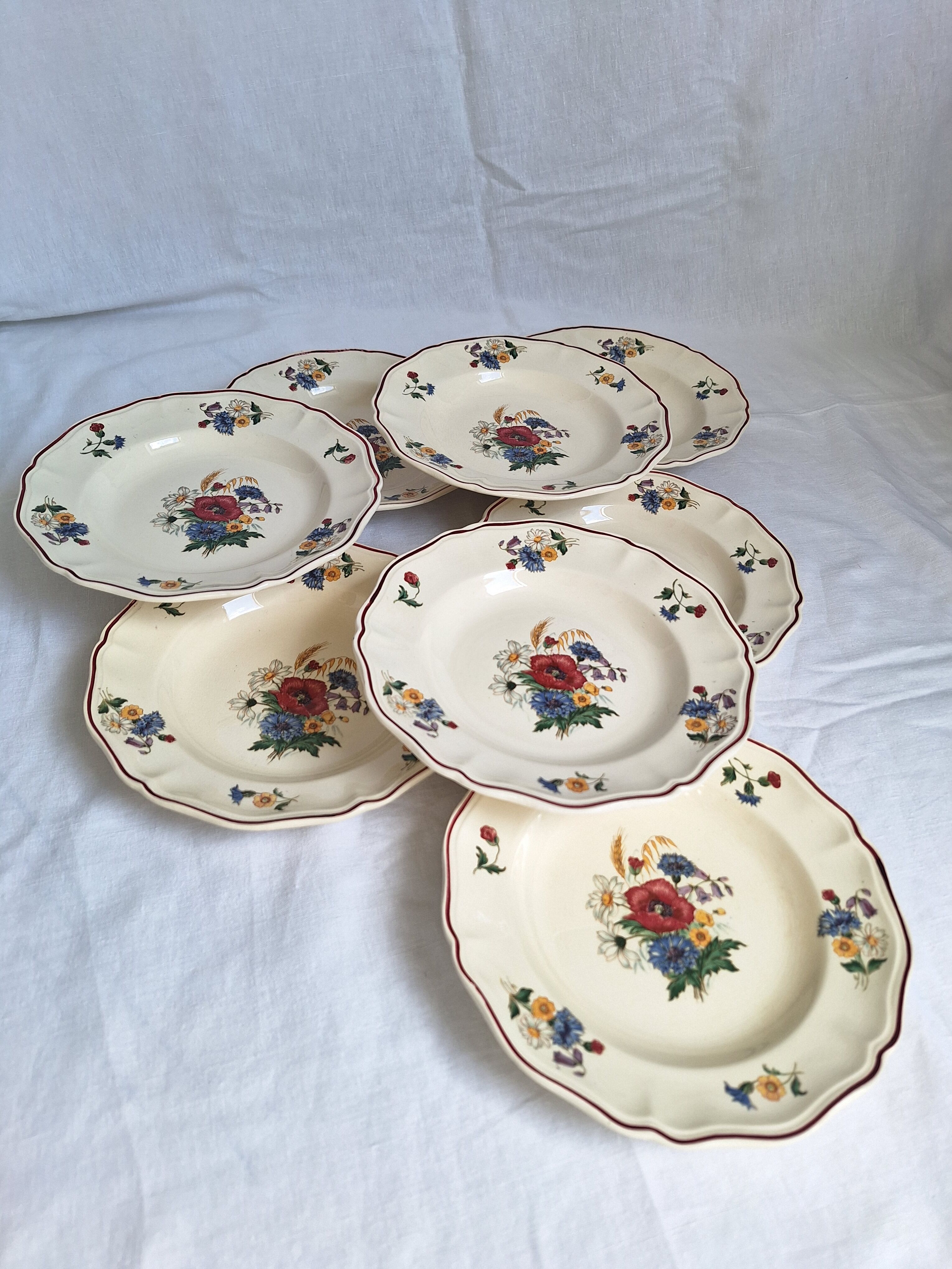 Hollow plates Sarreguemines Agreste