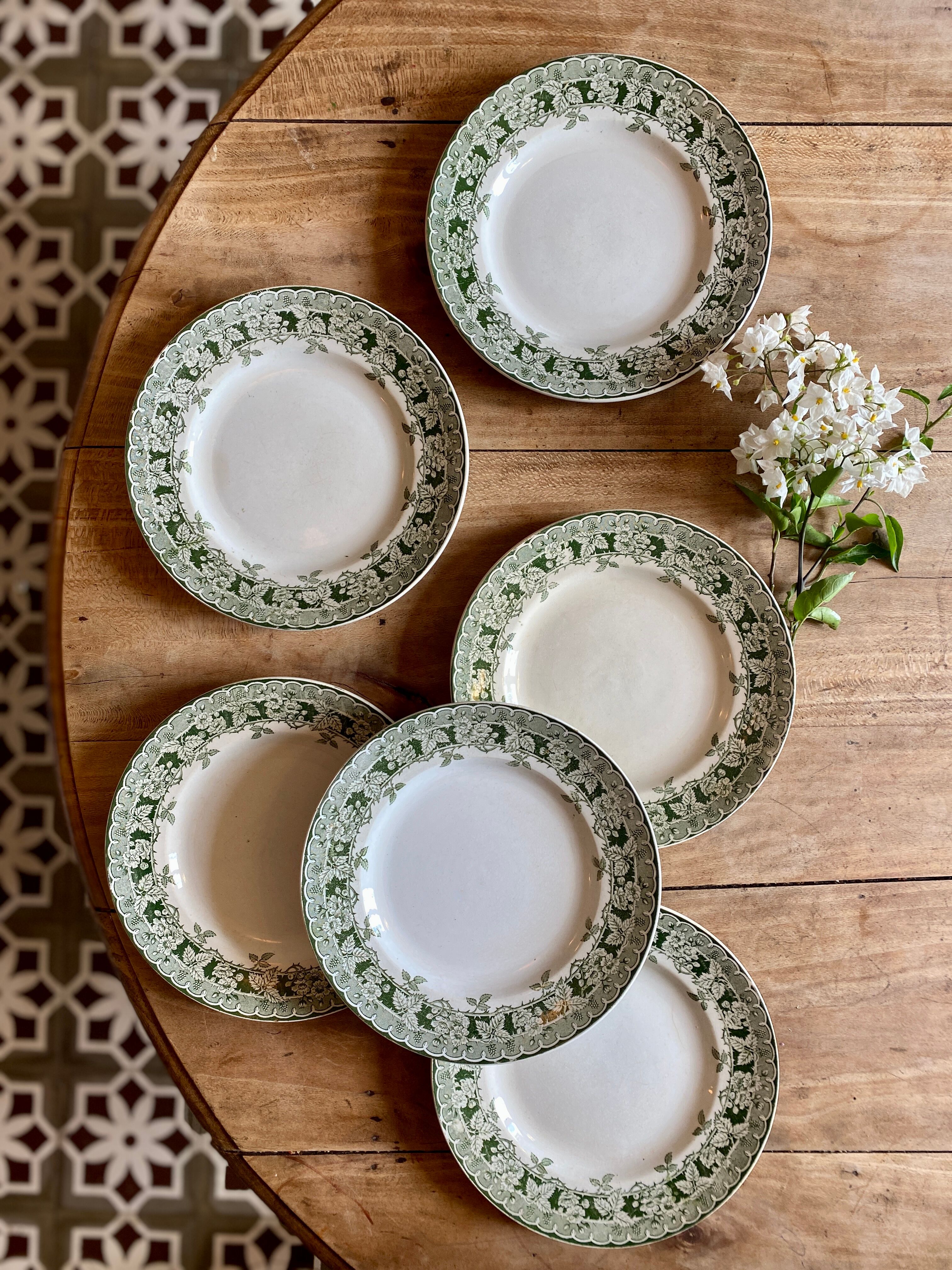 Set of 6 old plates in iron earth, model Murier de Saint Amand