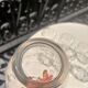 Porto service Baccarat 7p. M. Longchamp