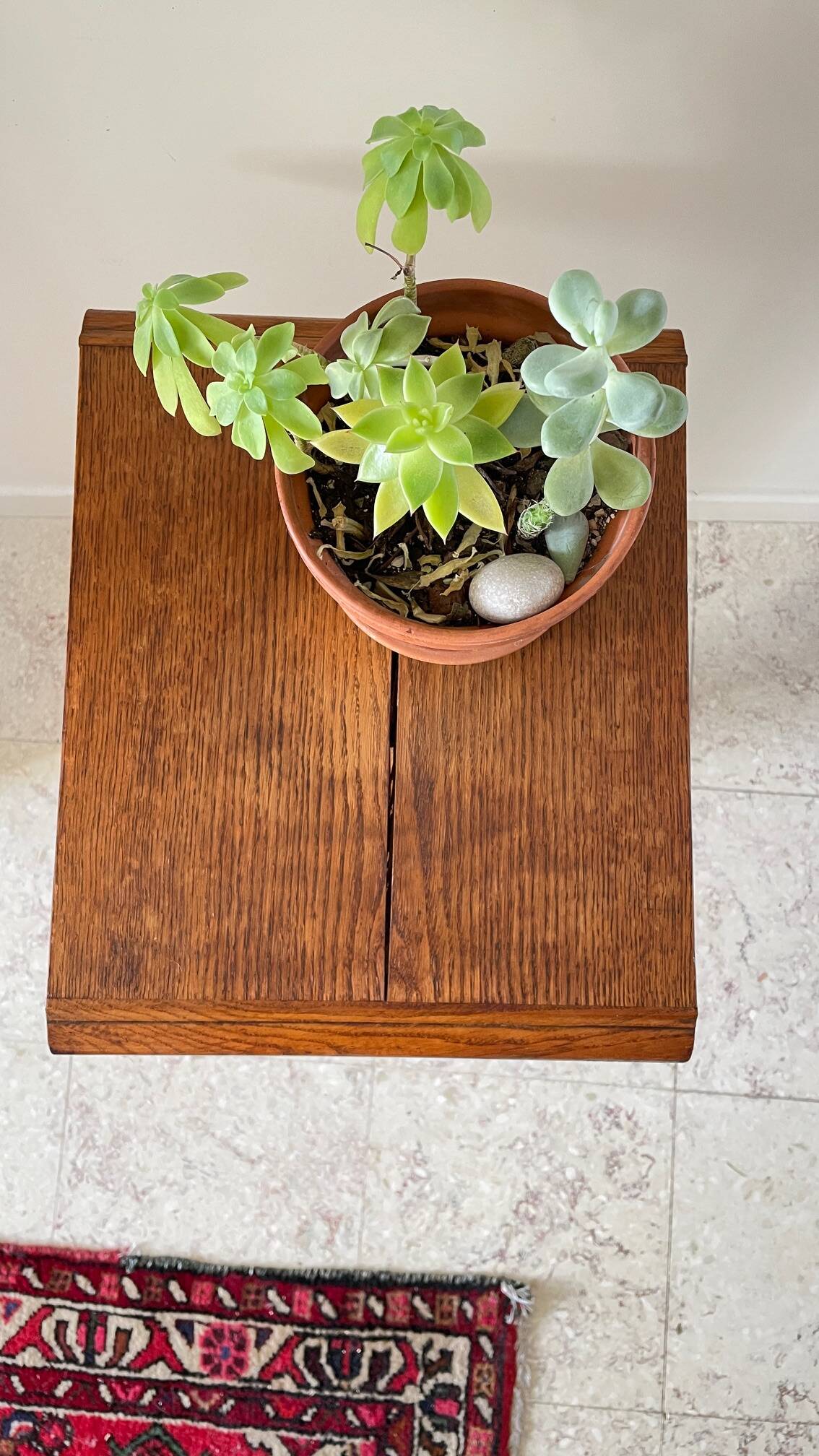 Vintage solid oak saddle plant holder