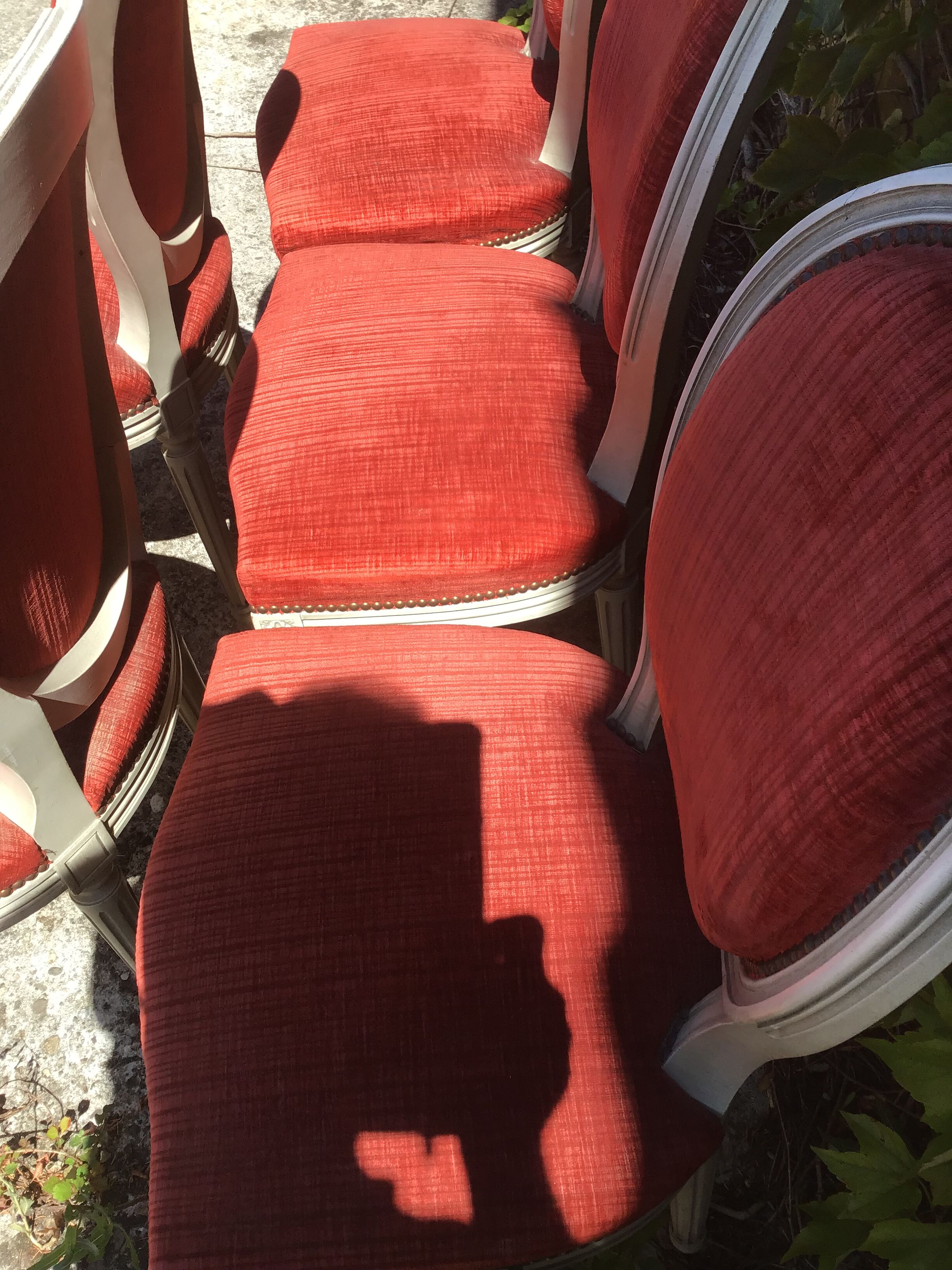 6 Louis XVI-style chairs